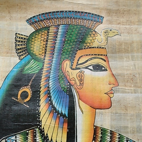 Large papayrus ! - Picture 3 of 8